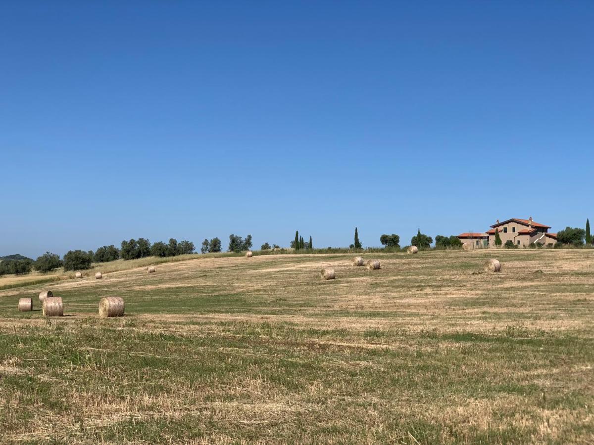 Villa Il Poggio Di Musignano Musignano  Exterior foto